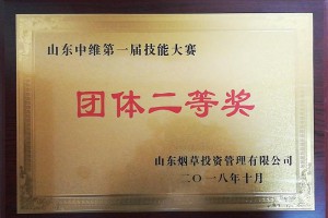 团体二等奖
